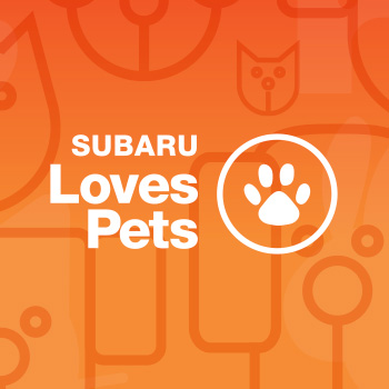 Subaru Loves Pets logo in white lettering on an orange background. An illustration of a paw print in a circle is shown to the right of the words “Subaru Loves Pets.”