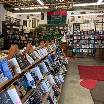 Interior view of Marcus Books, which is light-filled and tidy with rows of books and plants sprinkled throughout.