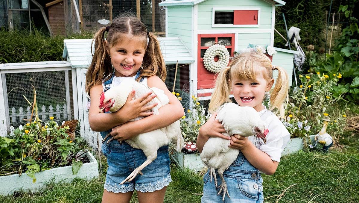 5 Benefits of Backyard Chickens