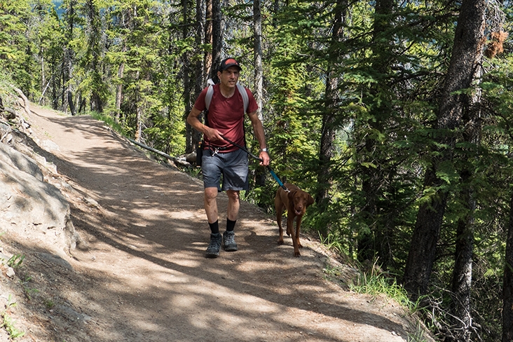 man hiking with dog on forest trail