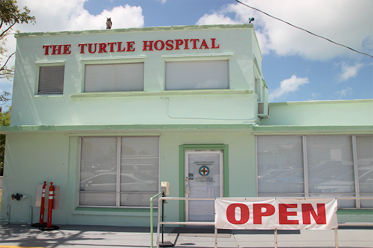  A two-story mint green building with The Turtle Hospital in red letters on top; a large OPEN sign is attached to a railing in front of the building.