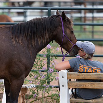 A female wearing a cap and a T-shirt that says STAFF on the back is seated on a bench. She is nuzzling the muzzle of a large brown horse.