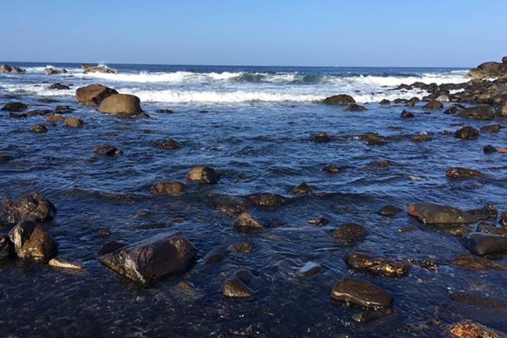 Maine ocean landscape