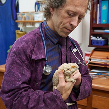 Veterinarian Starfinder Stanley wearing a stethoscope and holding a pet lizard.