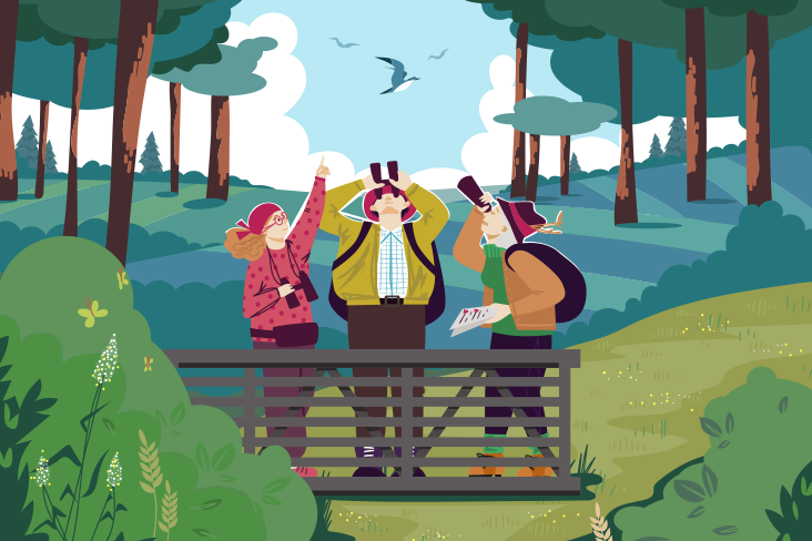 An illustration of three people bird-watching in a forest setting. Two are watching a bird through binoculars, and the third is pointing her index finger at the bird, which is flying over the group.