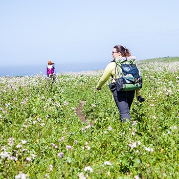 Two women hike through a green field.