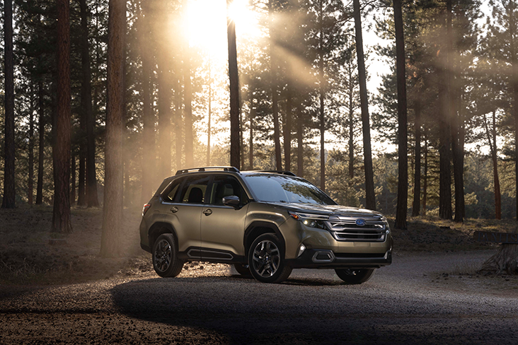 A 2025 Subaru Forester is parked on a road in a forest setting. Sunshine is breaking through tall evergreen trees behind the vehicle.