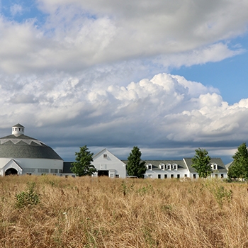 Churchtown Dairy’s white circular barn with longer barns alongside.