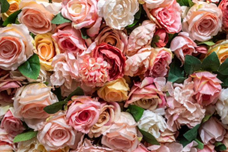 close up image of roses
