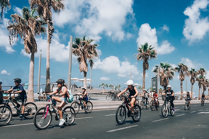 large group of children riding bikes down a street lined with palm trees