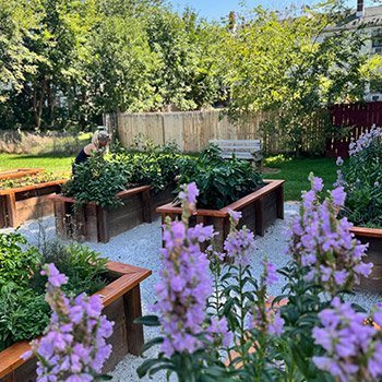 Image of a community garden with several wooden boxes filled with vibrant vegetables, herbs, and flowers that Kyle and Stacey Williams rejuvenated with Ciocca Subaru of York.