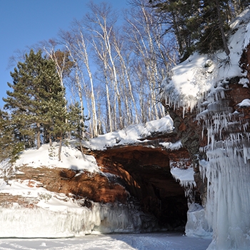  An ice cave entrance viewed from the outside. It has icicles and snow hanging down from the rocky sides. On top of the cave are tall evergreens and birch or aspen trees.