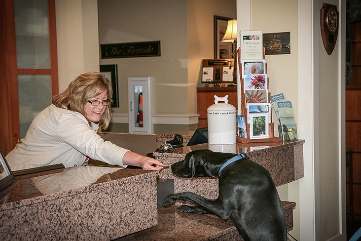 Melissa Halliburton’s dog, Ace at The Resort at Port Ludlow, Port Ludlow, WA