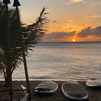 A serene shot of paddleboards lined up on a sandy beach near the water’s edge. The sun is setting, with brilliant golden colors, and soft clouds appear near the horizon in the far distance.