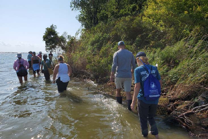 Cleanup volunteers wade along the coastline of the Chesapeake Bay.