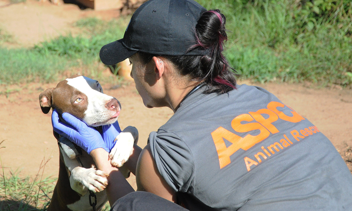 When it comes to protecting our furry counterparts, the ASPCA® is on the front lines.