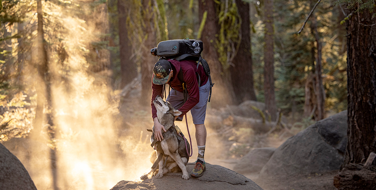 How To Plan a Solo Backpacking Trip With Your Dog
