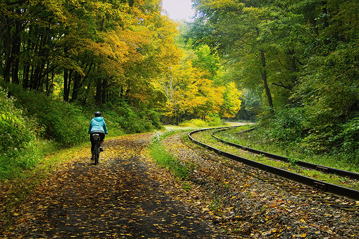 A lone individual is riding their bike on a scenic Great Allegheny Passage trail that runs parallel to train tracks. Leaves are changing color on the trees and have also fallen on the path in yellows and oranges.