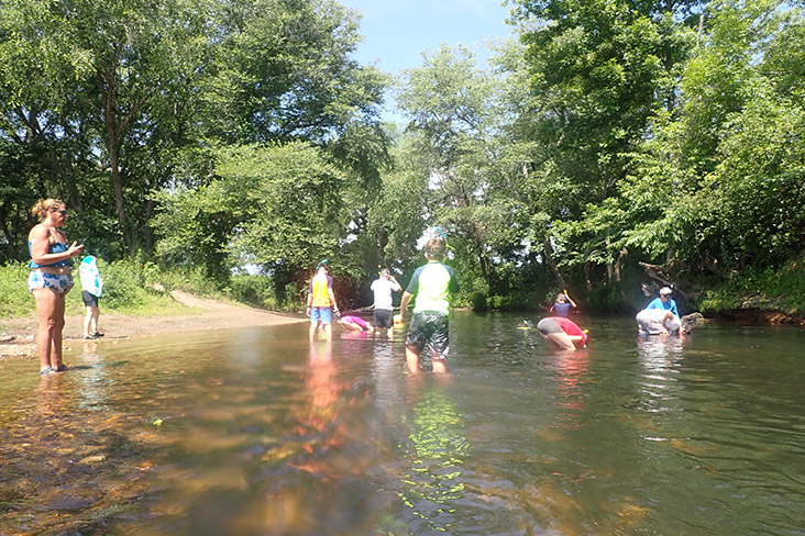 Snorkelers gathered in knee-deep water enjoying the sights below the surface.