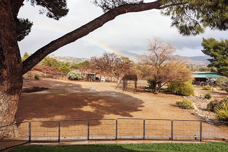 A view of the open outdoor area on the Saufleys’ property. It is mostly light-brown dirt or pebbles with ample space for guests to spread out. A rainbow and mountains can be seen in the background with bushes and some trees in the foreground.
