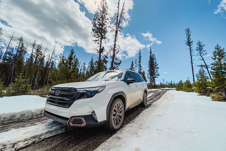 A white 2025 Subaru Forester on an off-road forest trail covered in snow.