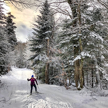 A woman cross-country skiing on a snowy path in the woods, surrounded by evergreen trees with the sun peeking through the clouds.