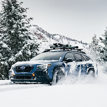 A Subaru Outback Wilderness is driving through a forest in the snow. To the left of the vehicle are snow-covered evergreen trees.