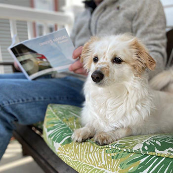 small white dog sitting on porch with owner