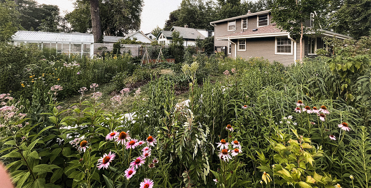 The cornucopia of native plants growing in Karl and Katie Kloos’ backyard.