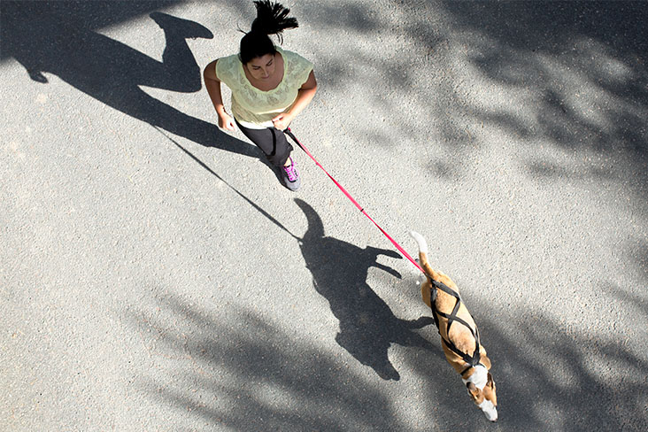 Female jogging with dog
