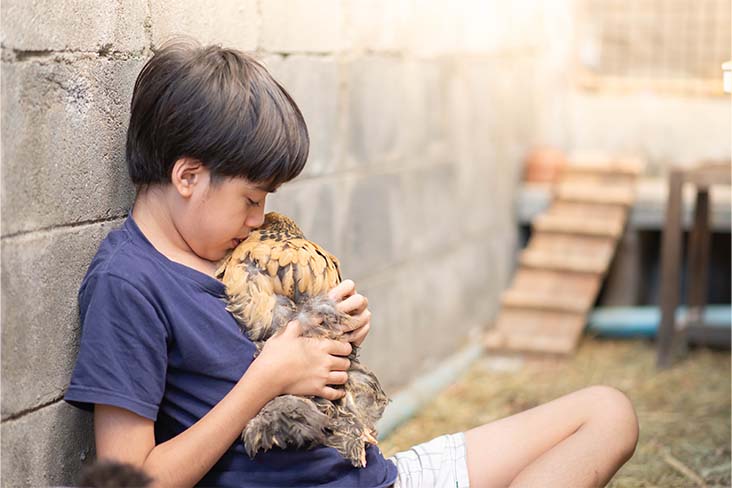 A young boy is leaning against a concrete wall and cuddling a hen against his chest as he sits on the floor of a large chicken coop