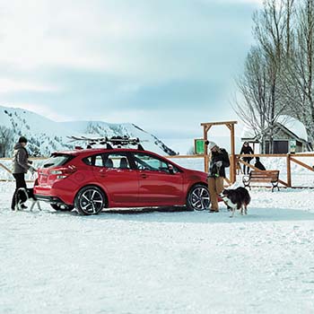 A 2022 Subaru Impreza in Lithium Red Pearl is in the center of a snowy landscape and a person is opening the trunk with a dog by their side. A Thule Ski and Snowboard Carrier is secured on top of the Impreza. Another person is standing nearby with a second dog. A small building, mature trees and a person walking toward the vehicle are in the distance.