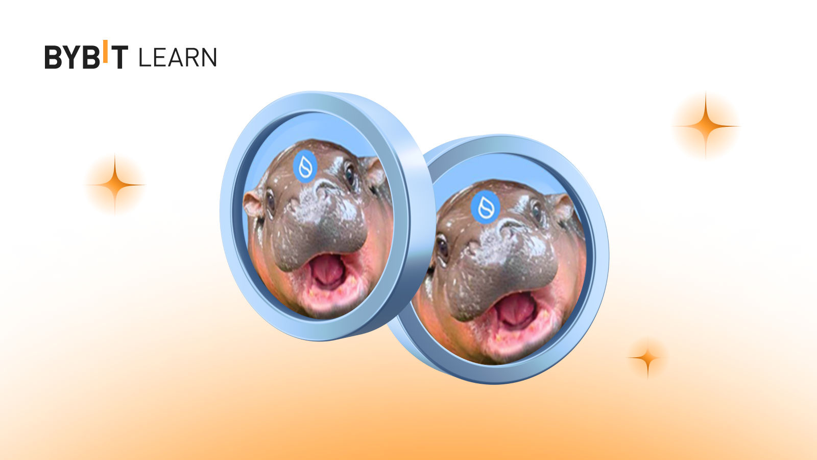 Sudeng (HIPPO): A SUI-Based Baby Hippo Meme Coin | Bybit Learn
