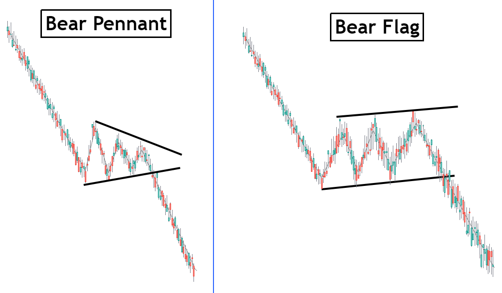 bear pennant vs bear flag