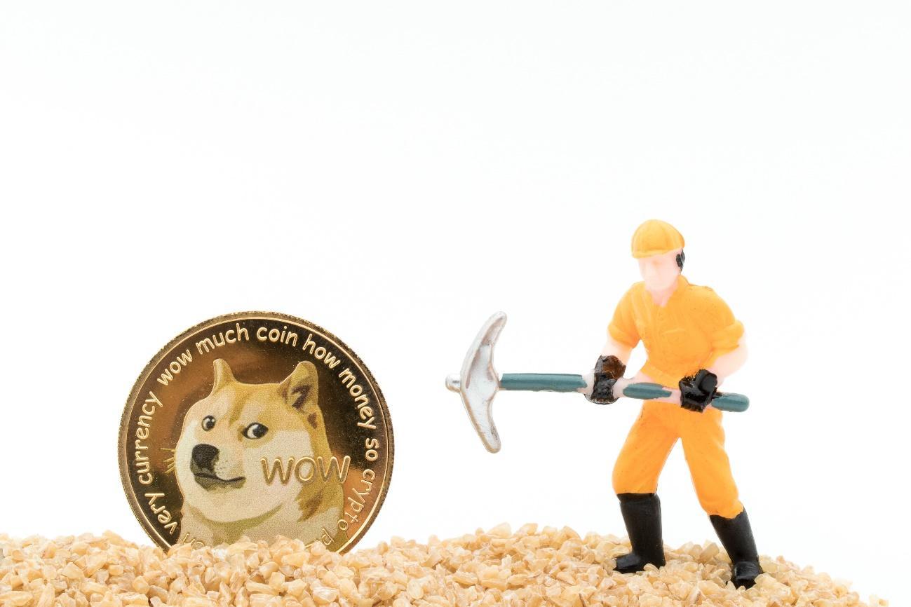 shiba-inu-coin_2.jpg