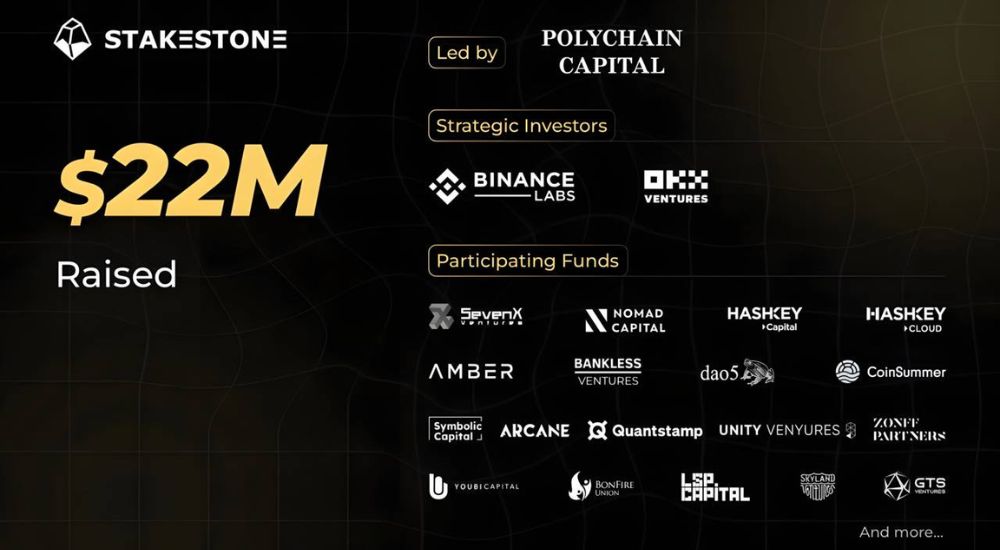 StakeStone-nhan-duoc-su-dau-tu-manh-me-tu-cac-quy-lon.jpg
