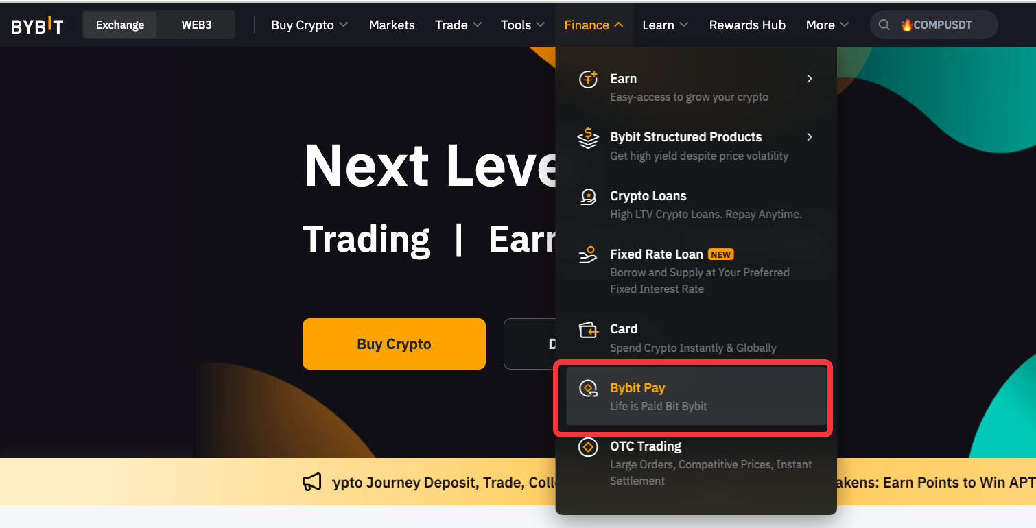 bybit_pay_2.png