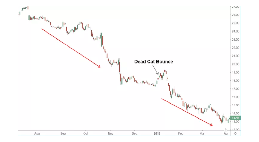 dead-cat-bounce-phan-anh-hien-tuong-gia-tai-san-co-su-hoi-phuc-ngan-han.png