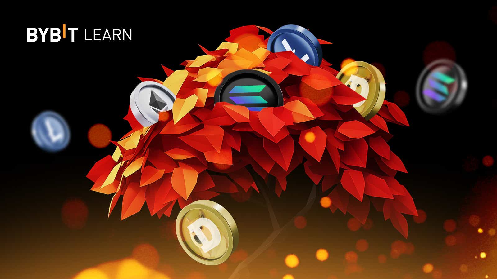 FEB25_R5_ BS banner.png