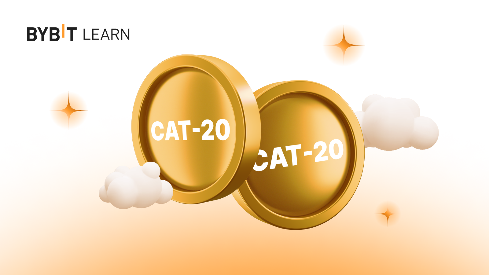 What Is the CAT20 Standard & How Does It Work? | Bybit Learn