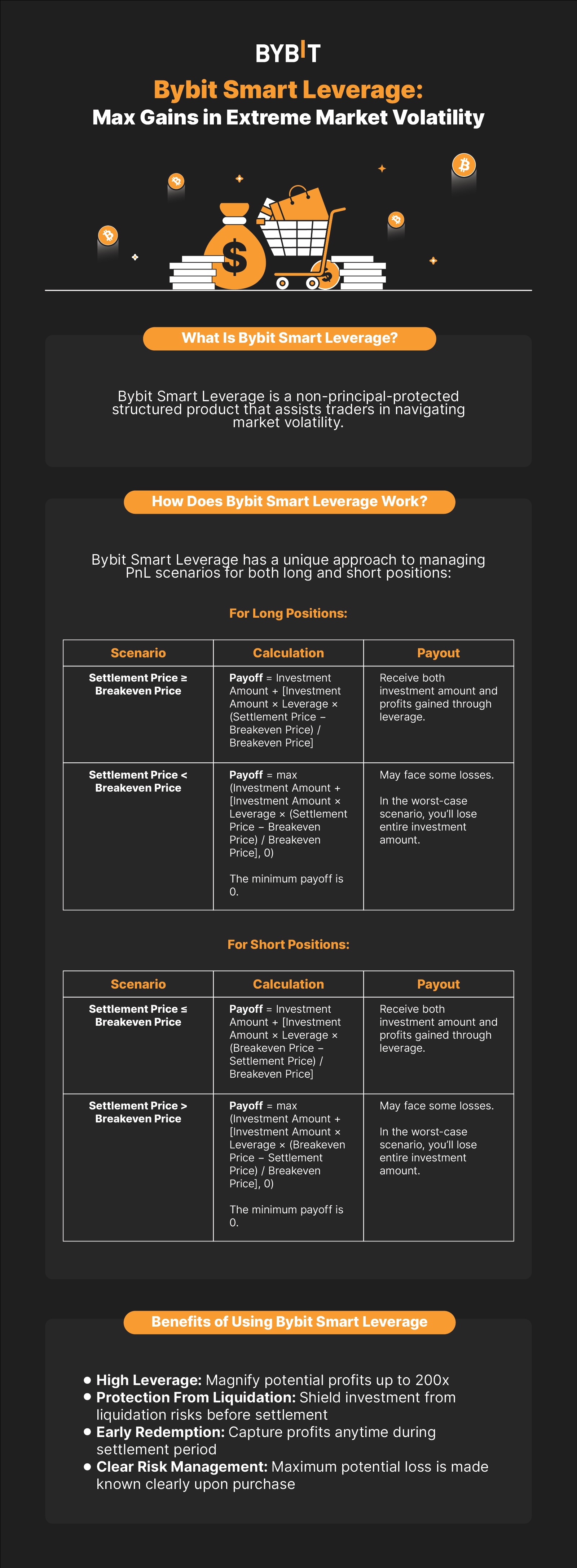 Bybit_Smart_Leverage_-_Max_Gains_in_Extreme_Market_Volatility_Infographics_1600X4346.jpg