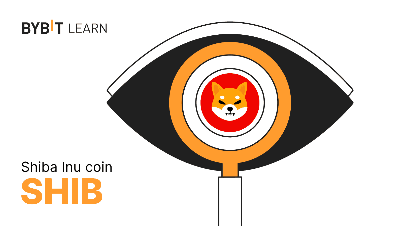 A Beginner’s Guide: What Is Shiba Inu (SHIB) Coin?