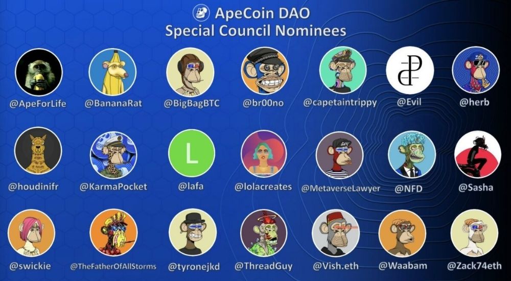 DAO-ApeCoin-la-co-quan-quan-tri-phi-tap-trung.jpg