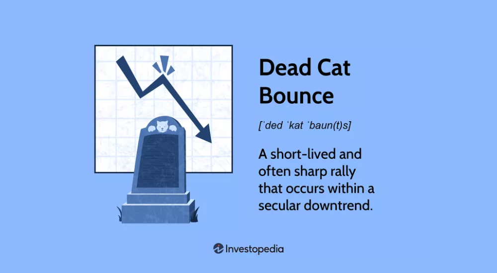 dead-cat-bounce-la-mot-mo-hinh-gia-gia-trong-thị-truong-tai-chinh.png