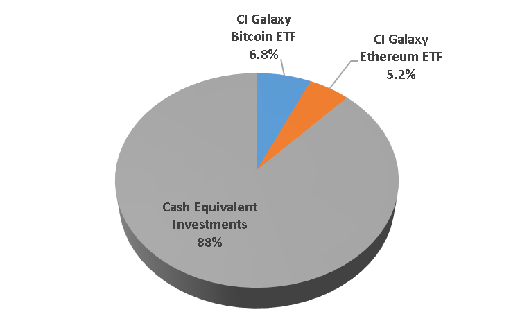Cryptocurrency etf holdings wiki horse betting terms