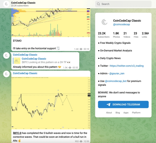 CoinCodeCap telegram.