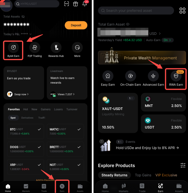 rwa-earn_how-to-use-bybit-rwa-earn_1.png