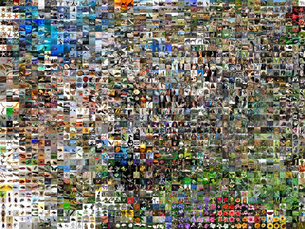 Everydays: The First 5000 Days