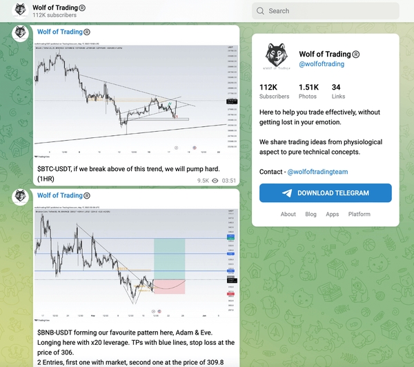 Wolf of Trading® telegram.