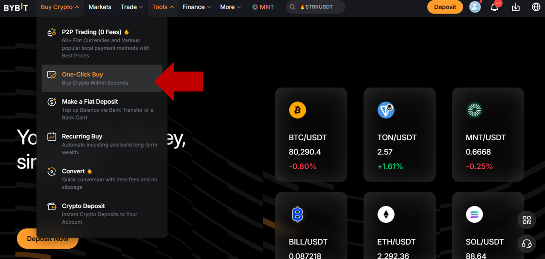 how-to-buy-usdpt-withdraw_1.png